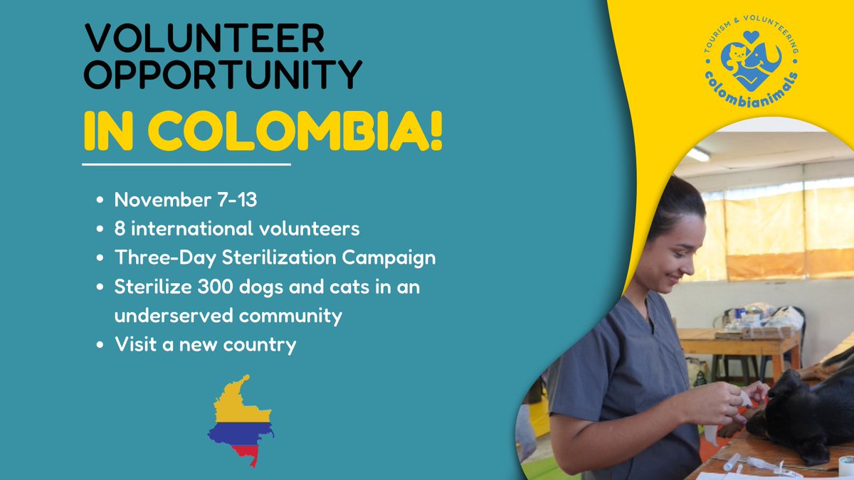 colombianimals's tweet photo. Colombianimals is excited to announce that our volunteer applications are OPEN for this November!!! We are going back to Malambo, on Colombia's Caribbean Coast!

Find out more on our website https://t.co/vMZs3b647f https://t.co/jYuwCeMNXC