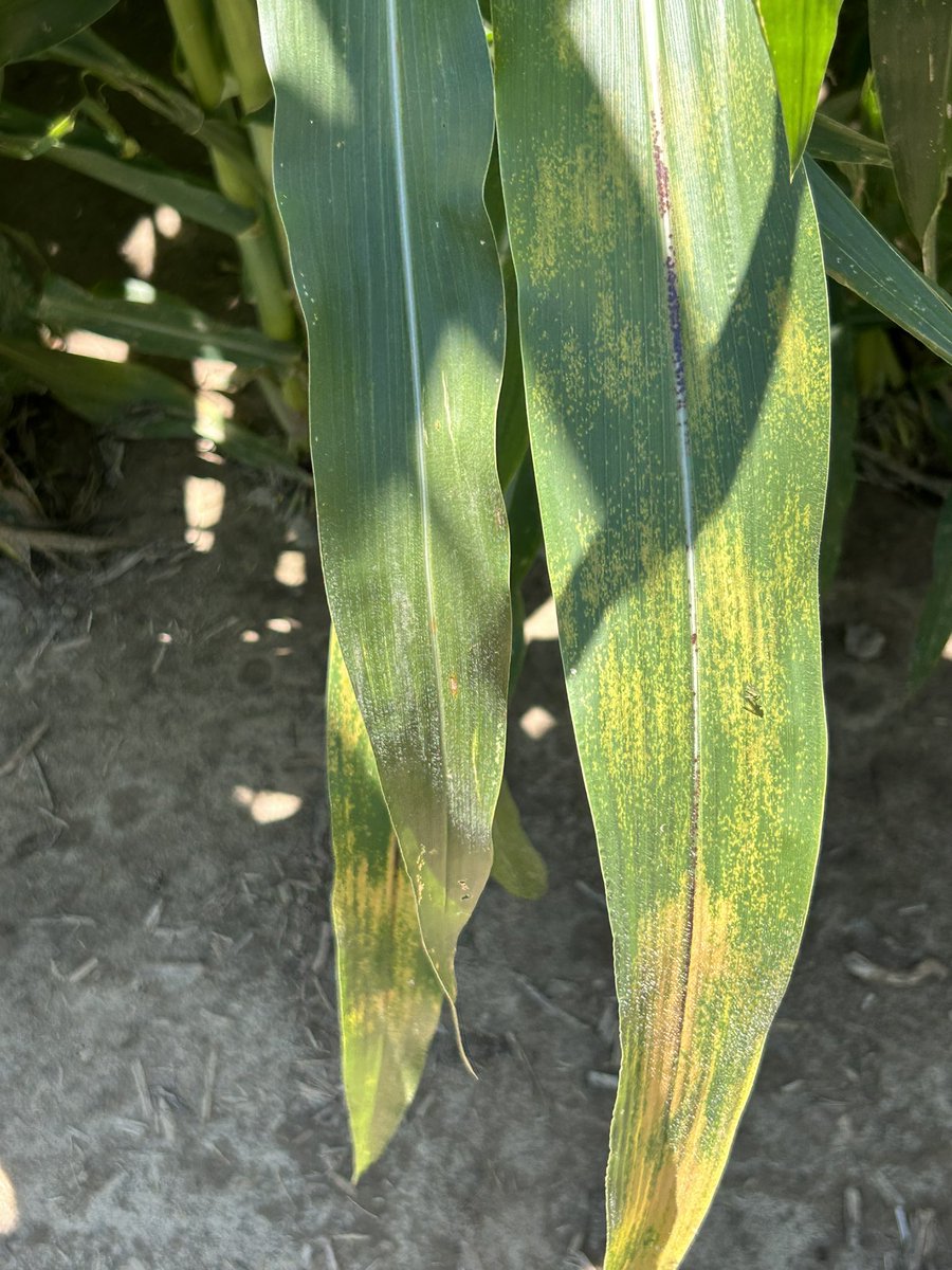 Scott Gard tweet media