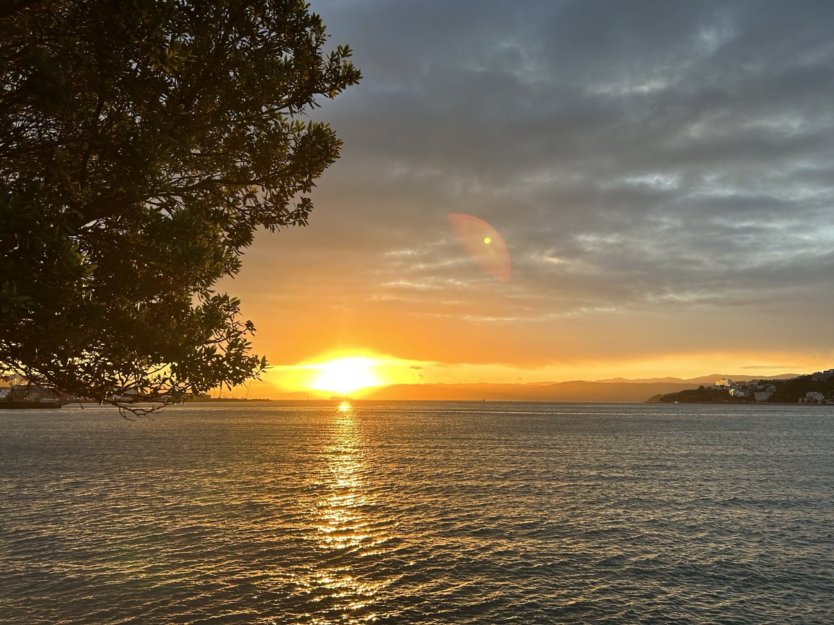 Mānawatia a Matariki to all my friends back in New Zealand. Nearly a year since my tour finished and still missing all things Kiwi 🇳🇿! This photo of Wellington harbour at sunrise taken just before last year’s Matariki during my last week in NZ.