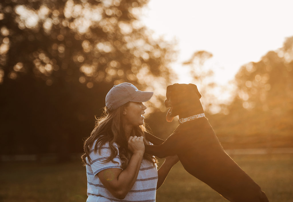 sambadger's tweet image. Happy 7 year ADOPTAVERSARY to my sweet pup Olive. 🥹