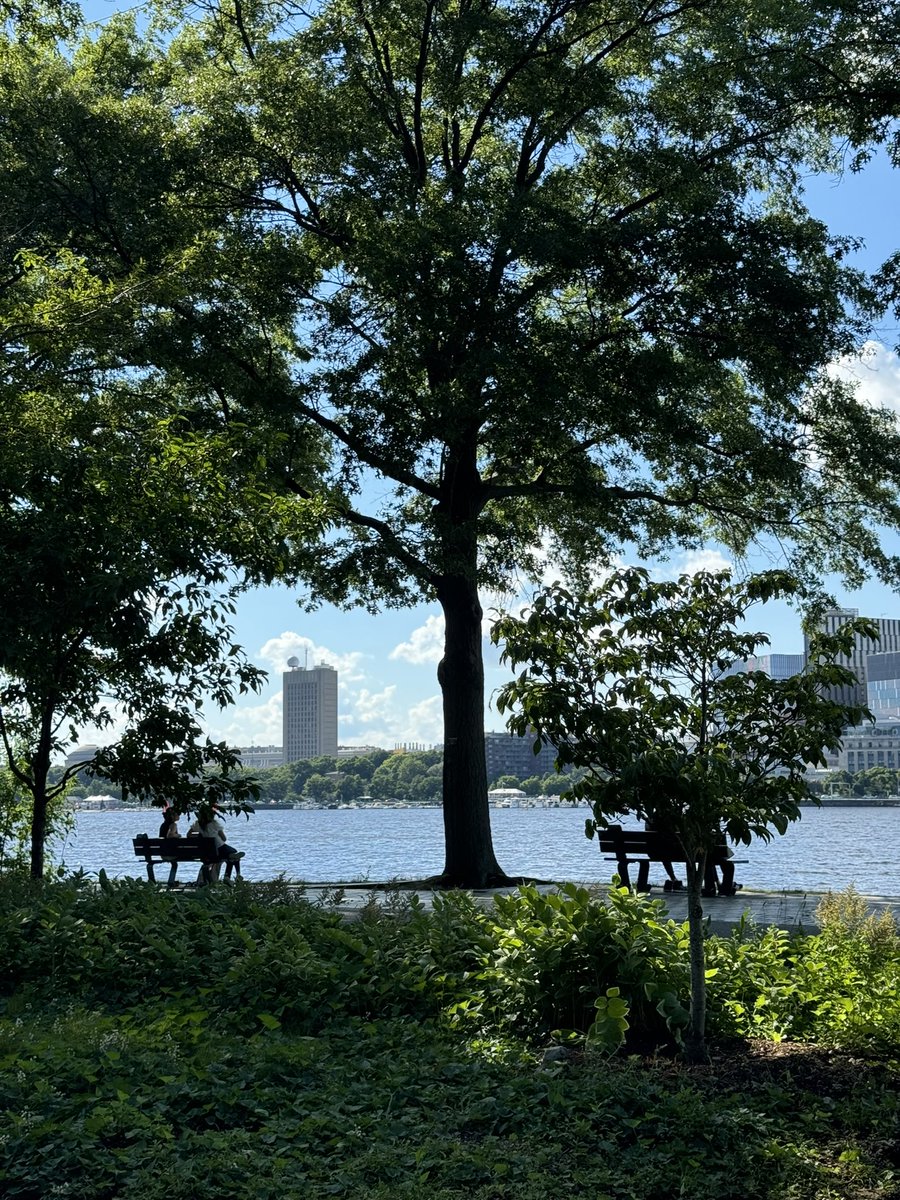 Brian O'Neill tweet media