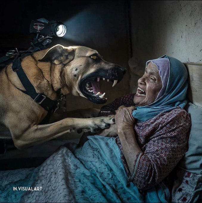 Bu fotoğrafın dünyadaki her gazetenin ön sayfası olması gerekiyor.

İsrail, yaşlı Filistinli kadına köpek kullanarak saldırıyor!