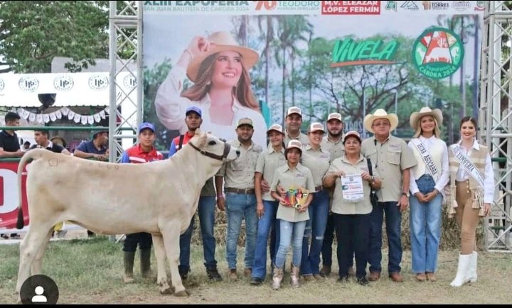 #NotiAsocrica Hacienda La Baragueña en la  edición XLIII de la Expoferia Carora 2024 con su ganadería #RazaCarora alcanzó la distincion de 
CRIADOR Y EXPOSITOR MAS DISTIGUIDO DE LA RAZA CARORA, expoferia Carora 2024
instagram.com/p/C8u8PaUSETY/…