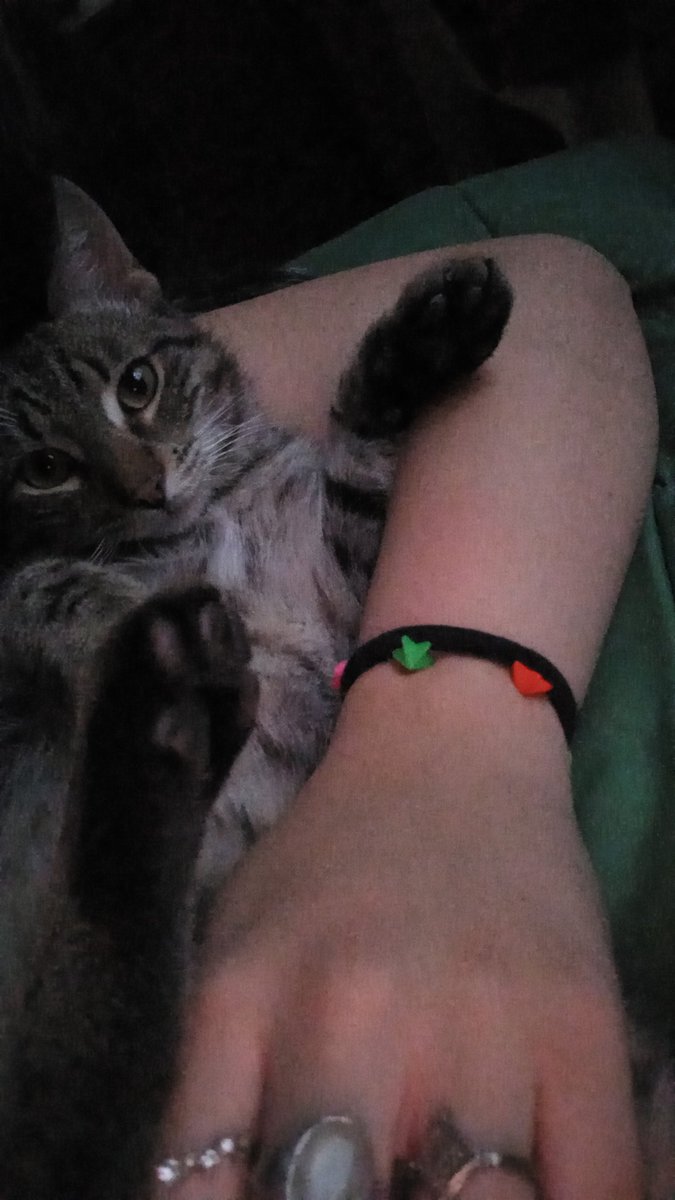 Un linyera se subió a mi cama