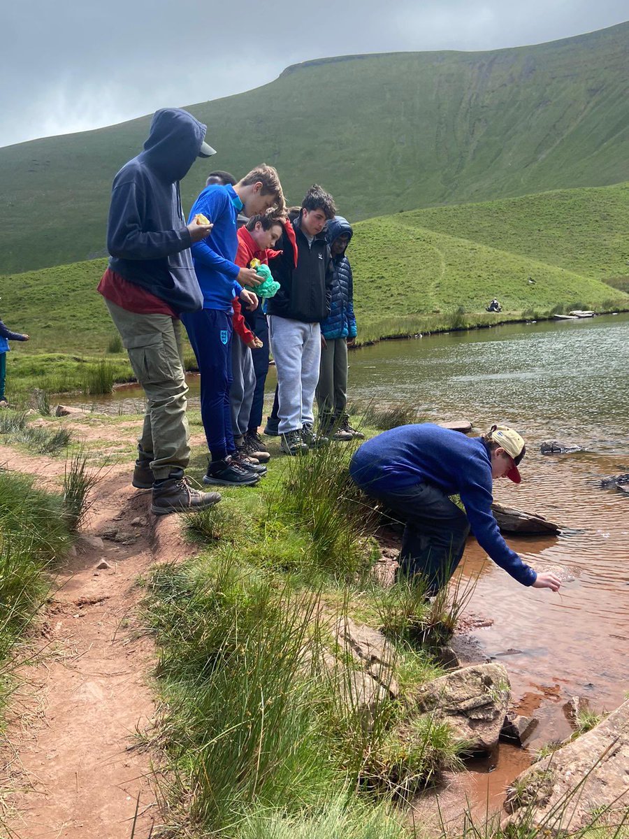 BWS Adventure tweet media