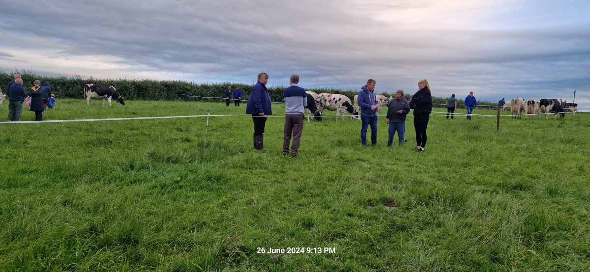 Brett Brothers tweet media