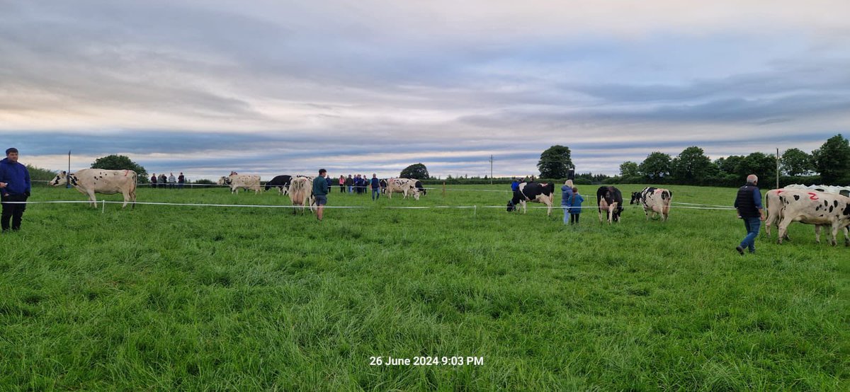 We were delighted to sponsor the Laois Offaly Friesian Breeders Field Evening last night in Abbeyleix  <a href="/i_h_f_a/">IHFA</a> 

Patrick and David tried their hand at some stockjudging 🐄