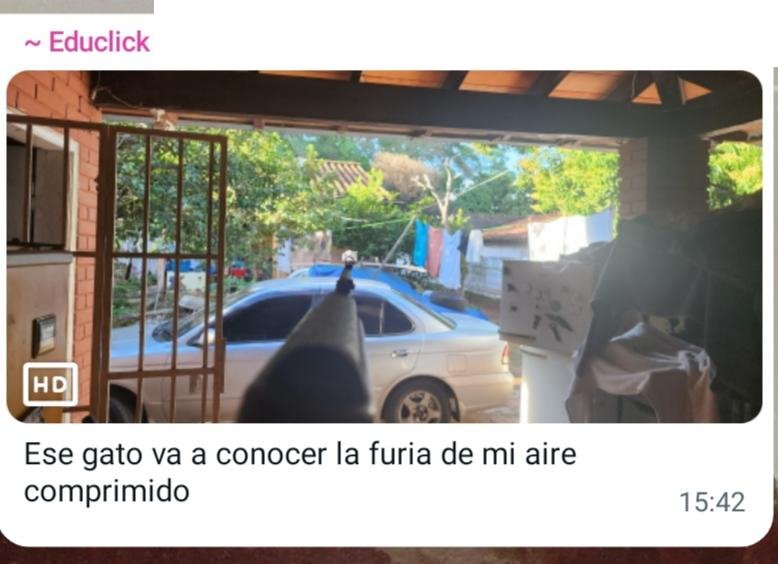 Koa La Nde Michi 😺😸😽😼😻 tweet media