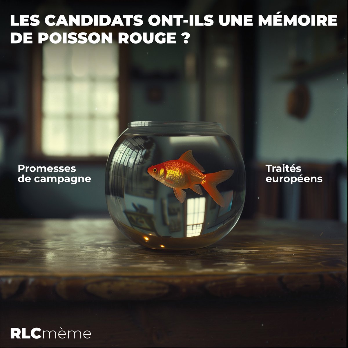 Mèmes in France 🇫🇷 👊 tweet media