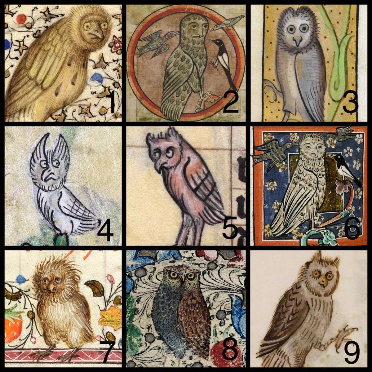 Ben Reeve tweet media