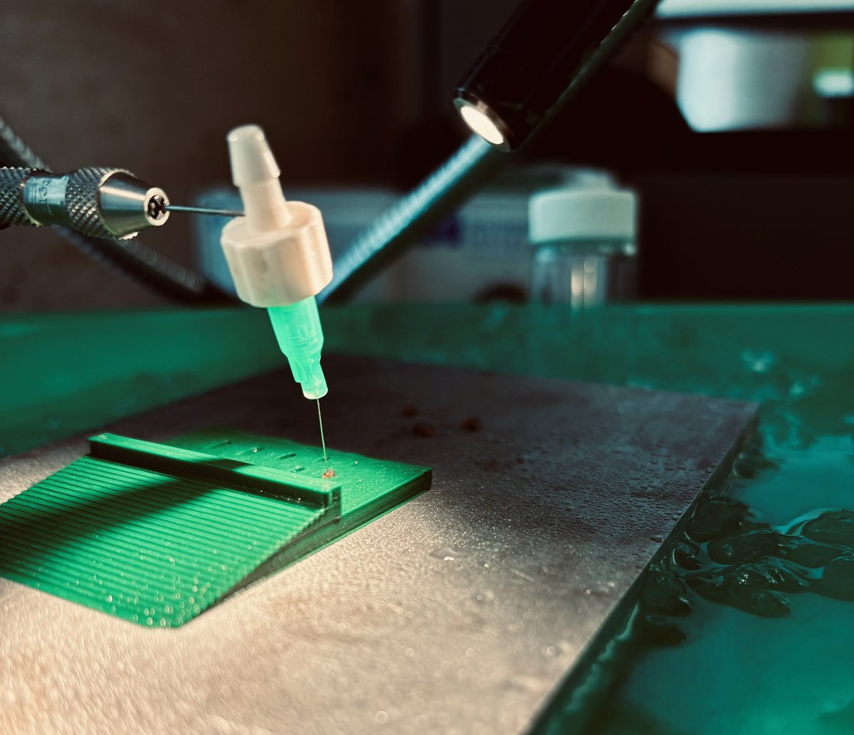 Audra Hawley tweet media