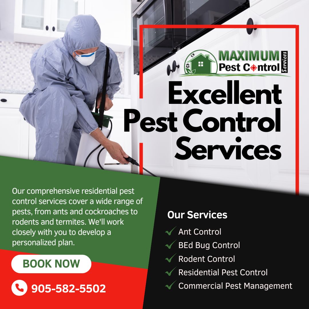 maxipestcontrol's tweet image. Ultimate Guide to Effective Mice Control: Tips, Methods, and Professional Advice For Mice-Free Environment maximumpestcontrol.ca/mice/ultimate-… 
#dtoakville #DowntownOakville #burlingtonontario #MiltonON  #Mississauga #Oakville #OakvilleMom
#miltonmoms #mississaugamoms