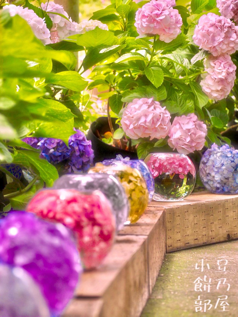 azukimochi_room's tweet photo. おはᰍᩚ

虹色紫陽花ガラスボール  般若寺 https://t.co/w3n38J9A1C