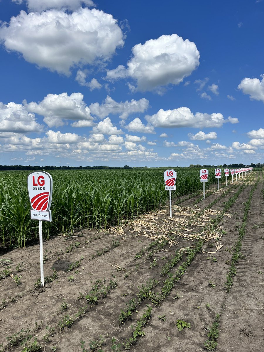 Robby Meeker tweet media