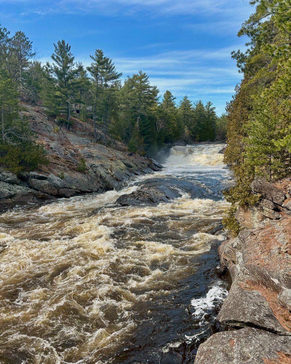 Kick off the long weekend with a visit to Chutes Provincial Park! Enjoy the breathtaking views and refreshing natural beauty that mark the perfect escape into the great outdoors
#nature #camping #hiking #discoverontario #chutesprovpark #ontarioparksne #ontarioparks