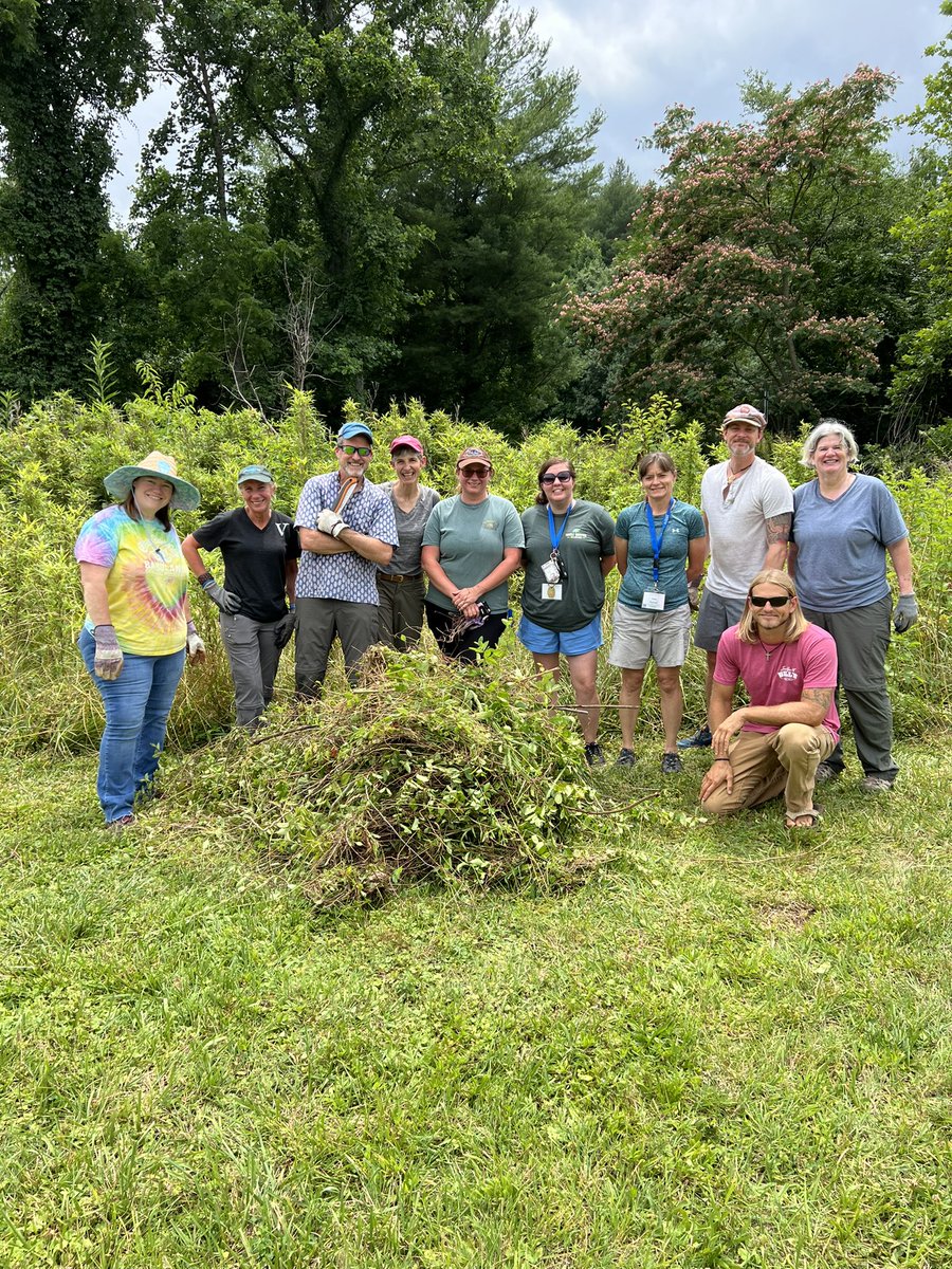 Brinchekscience's tweet photo. After learning the importance of Rivercane through our Indigenous Insights sessions @NCCATNews we were able to help pull invasive vegetation from a patch of Rivercane on the WCU campus @NorthCarolinaEE #NatureInspiredNC #communityService #Rivercane https://t.co/QYLwp3TC6y