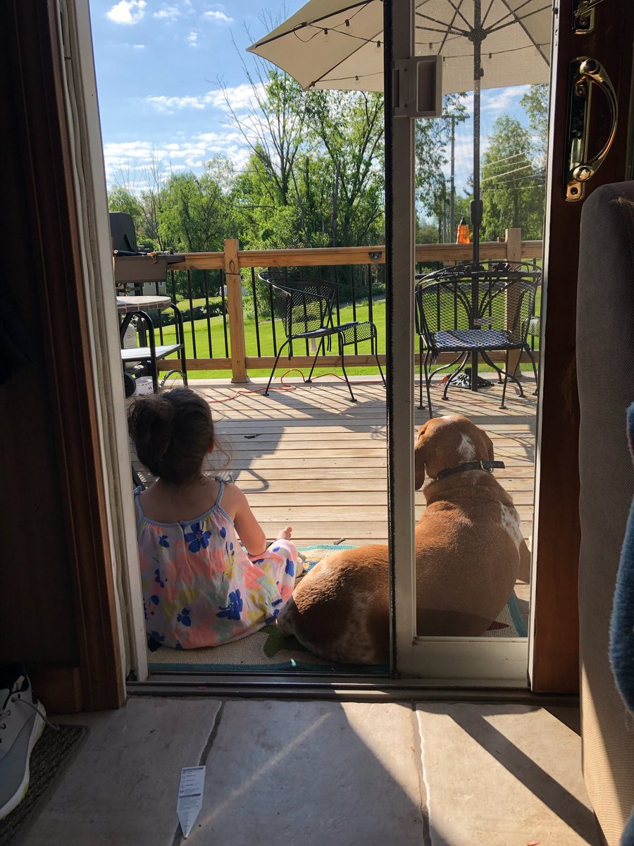 M_Fallisi's tweet image. We said goodbye to our Baylee yesterday after 13 years. Your plate of food was never safe around her, and she once was brought back home in the back of a police cruiser after wondering off…but she was an awesome dog, loyal, and always up for an adventure She’ll be missed ❤️