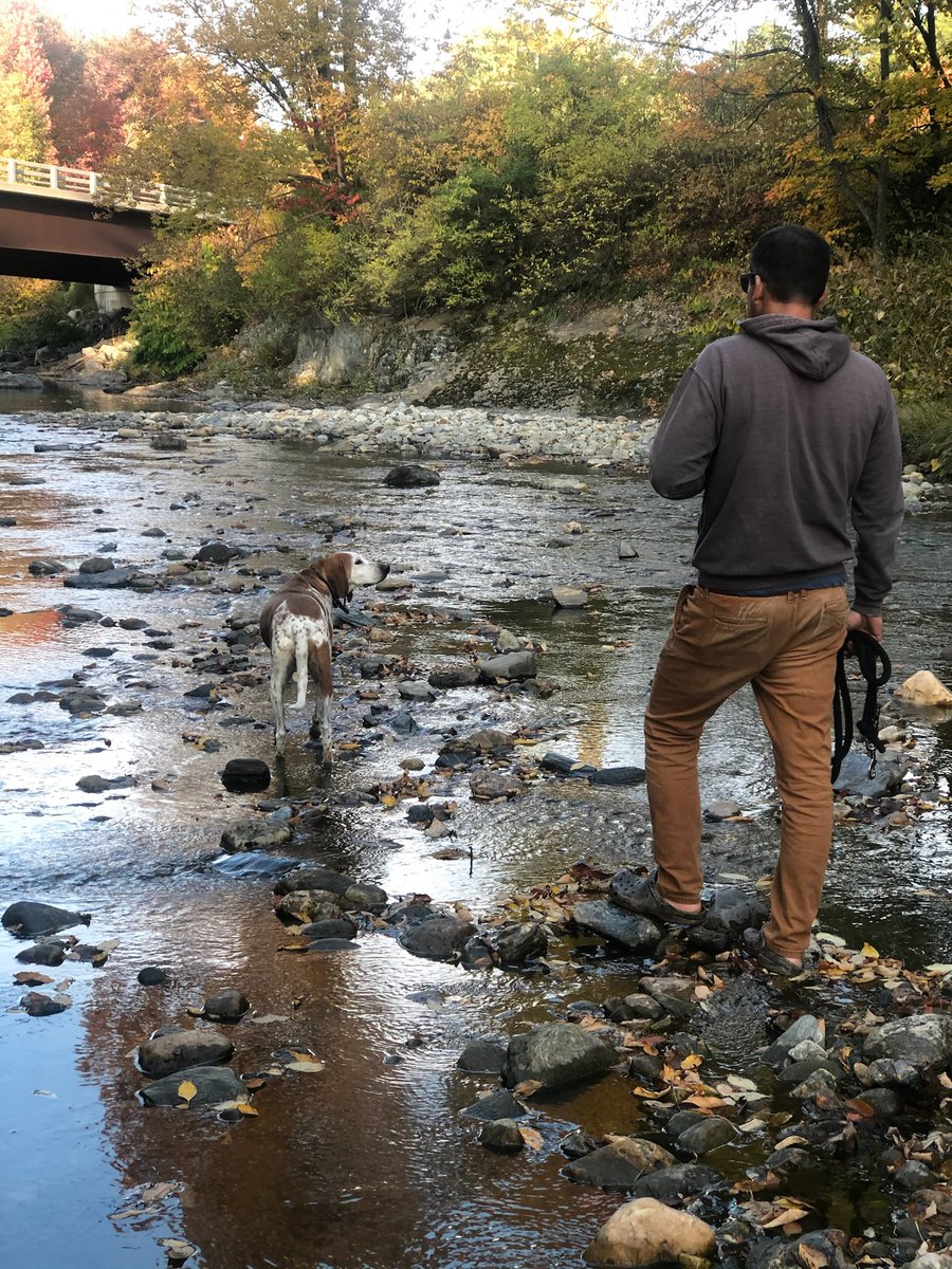 M_Fallisi's tweet image. We said goodbye to our Baylee yesterday after 13 years. Your plate of food was never safe around her, and she once was brought back home in the back of a police cruiser after wondering off…but she was an awesome dog, loyal, and always up for an adventure She’ll be missed ❤️