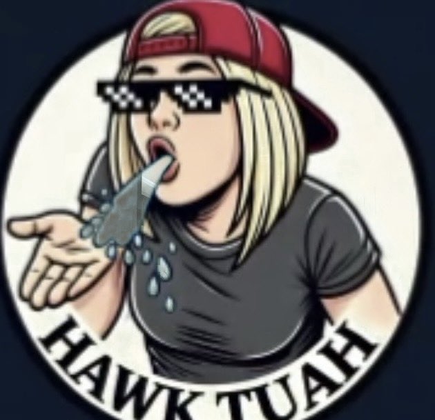 thecryptoguy81's tweet photo. @JakeGagain @MagaHAT_ETH Are you ready for some HawkTuah? Come join us today.  @HawkTuahERC20                                   https://t.co/dbvlcKf77r https://t.co/mPdKaAAC7t
