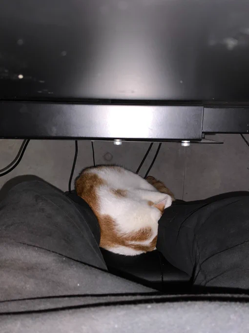 守らねば 