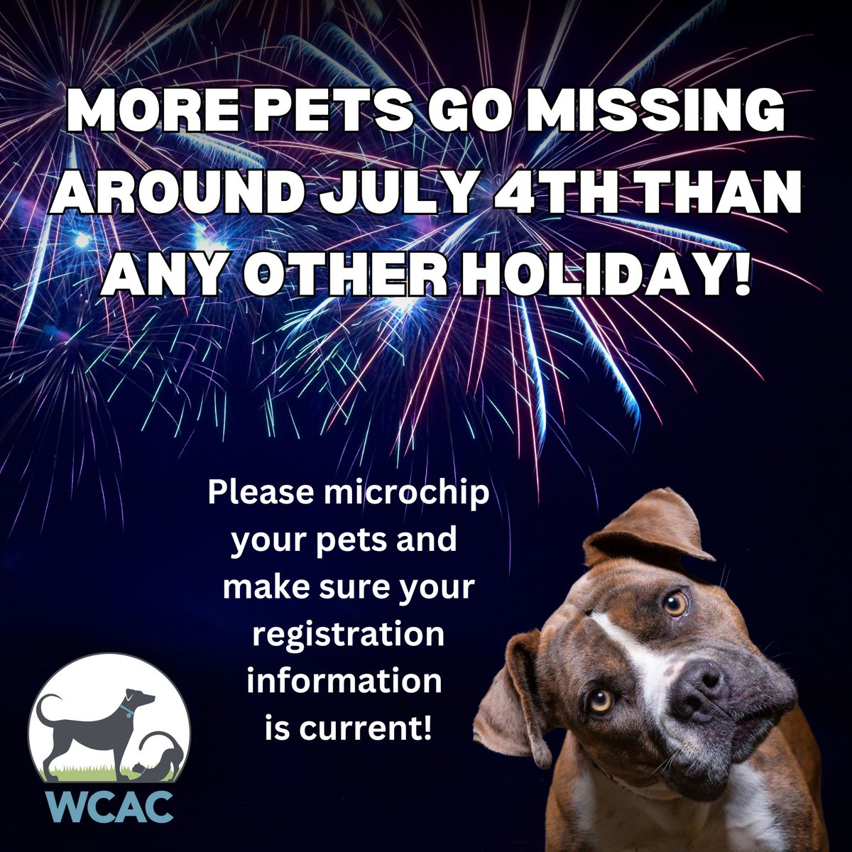 Our next rabies and microchip clinic at @wcanimalcenter is 6/29 from 9am-11am. Rabies shots are $10. Microchips are $15. 
Please keep your pets safe this July 4th. Chip them and keep them inside this year. Shelters are full!