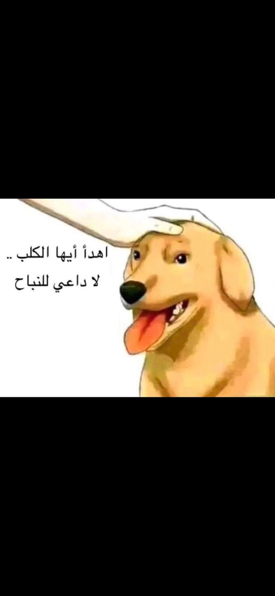 BandarAlrabie's tweet photo. @Alghamdi_AA https://t.co/N0UWmG8eJ4