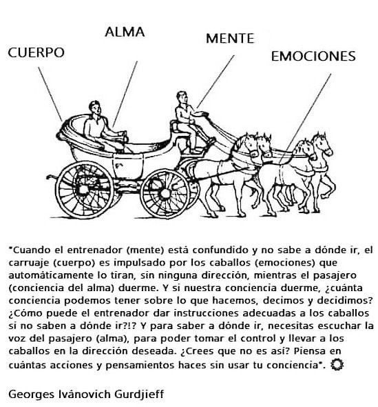 ElArteDeVivir__'s tweet image. Concéntrate más en tu mente o solo serás guiado por tus emociones.