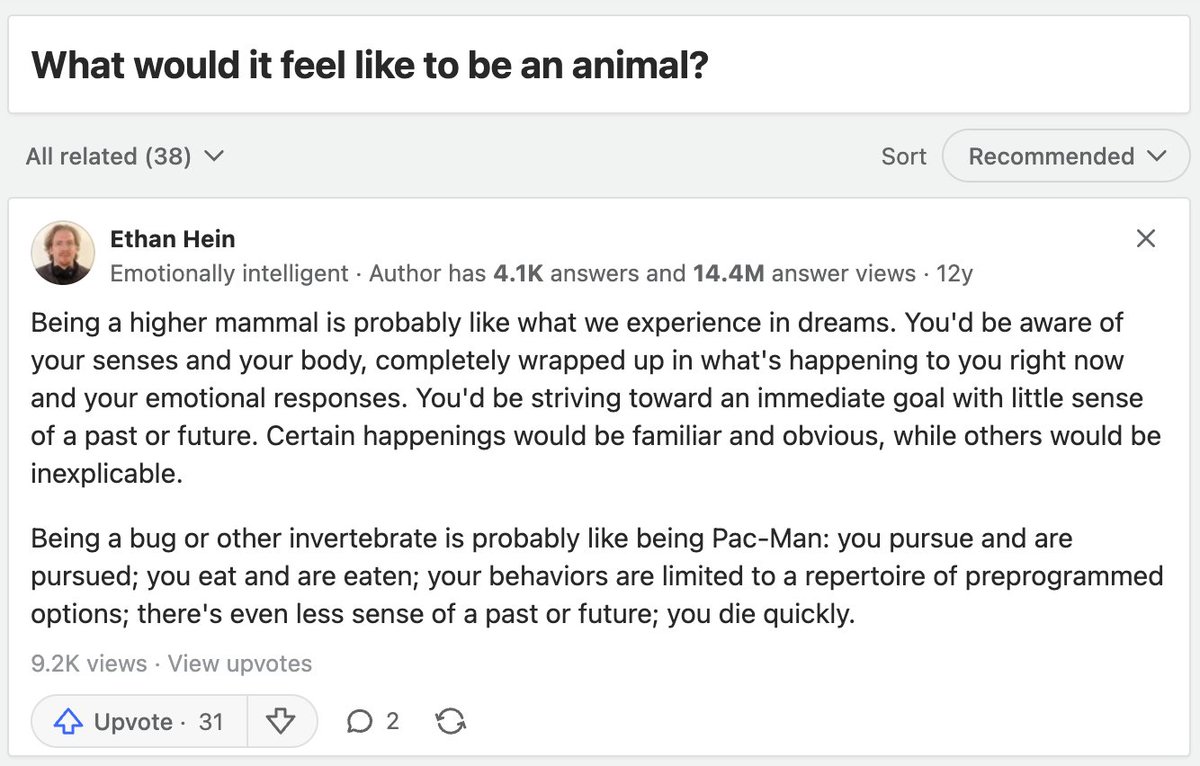 Nick Aho tweet media