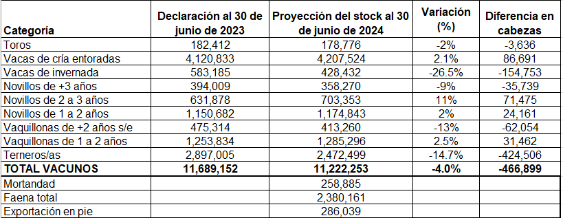 El stock vacuno al 30 de junio de 2024 tendrá un descenso, por un ingreso de terneros del orden de los 2.5 millones. Considerando la faena, la exportación en pie, la mortandad y los terneros ingresados durante el período 1 de julio 2023 al 30 de junio 2024, el stock sería: