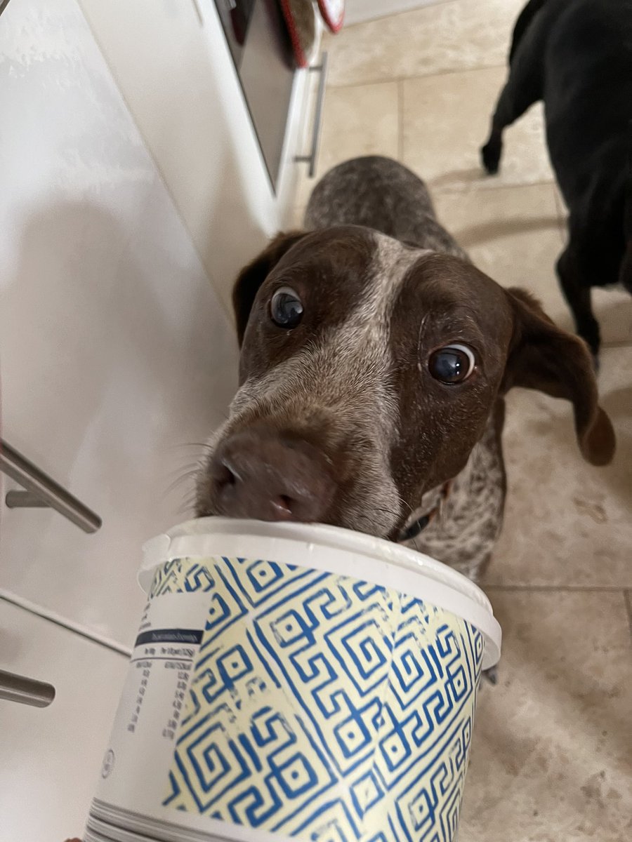 We love it when the natural yoghurt pot is nearly empty as we get to eat the last bits!!!