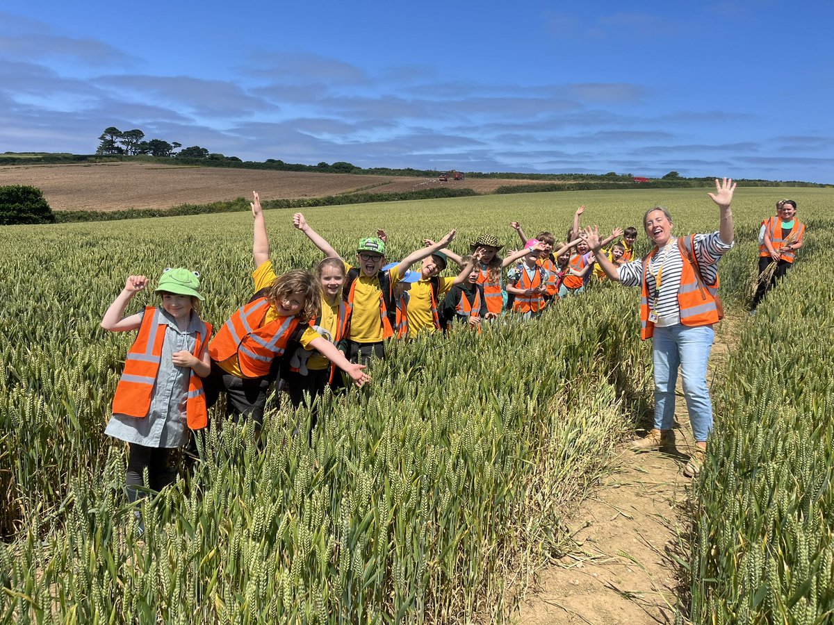 Pete Olds tweet media