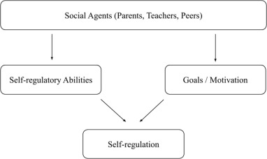 “Development and socialization of self-regulation from infancy to adolescence: A meta-review differentiating between self-regulatory abilities, goals, and motivation”

Top downloaded article from Developmental Review >
spkl.io/60174ACUL