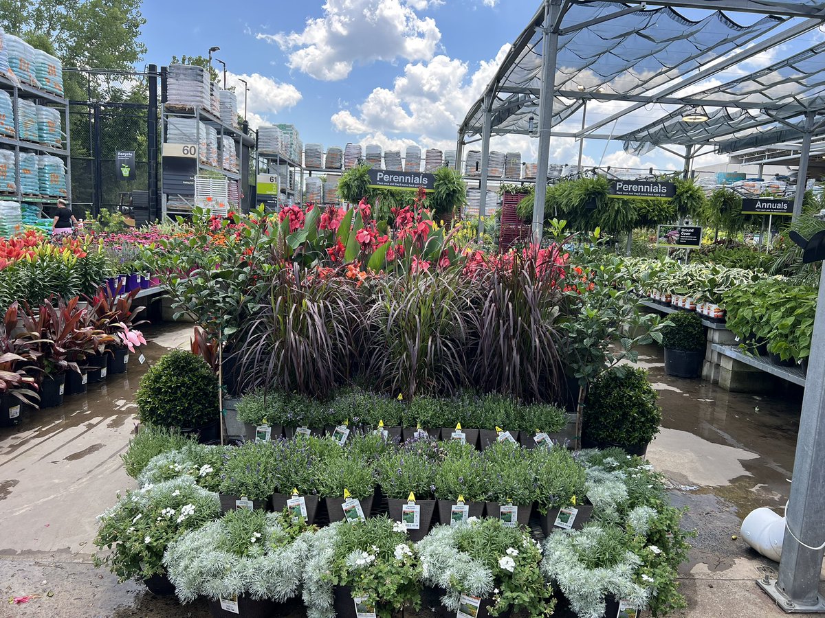 Great week at work! Love my job. <a href="/MetrolinaGHS/">MetrolinaGreenhouses</a> <a href="/HomeDepot/">The Home Depot</a>