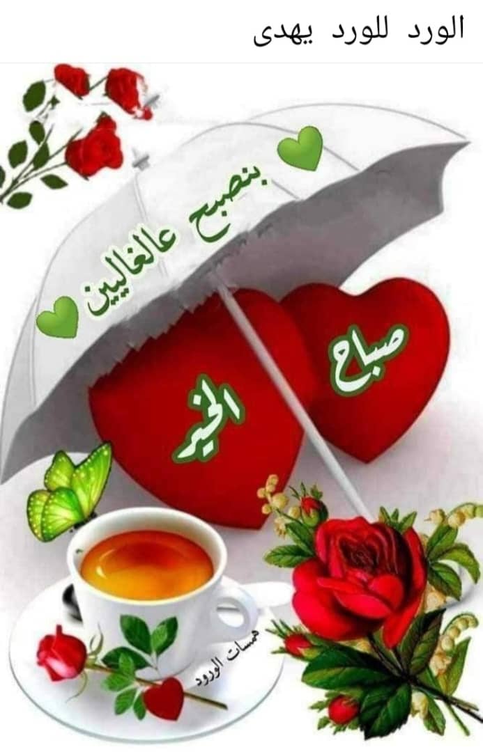 ⚘
صبـــــــاح السعاده🌧🌧
  زادڪم ﷲ نوراً في القلب وضياءً فـﯥ الوجه ، وسعة في الرزق ، ومحبة في قلوب الخلق . وجعلنا ﷲ وإياڪم من الذاڪرين والمستغفرين* *وغفر ﷲ لنا ولڪم ولوالدينا ولوالديڪم ولجميع المسلمين 
آمـــــــــين يا رب العالمين
⚘جمعه مباركه ⚘