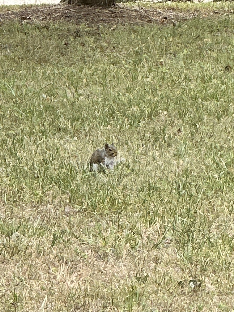 Bros got something on his mind 
Hope he’s all good 😔