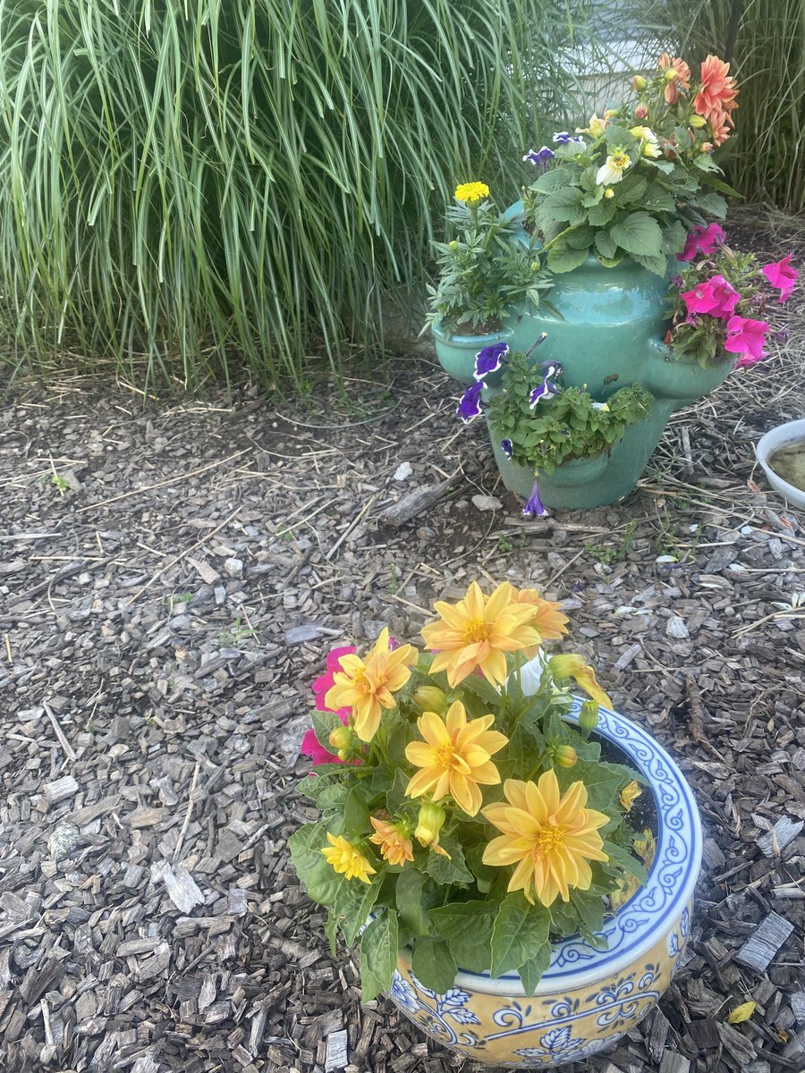 Julia Grantham tweet media