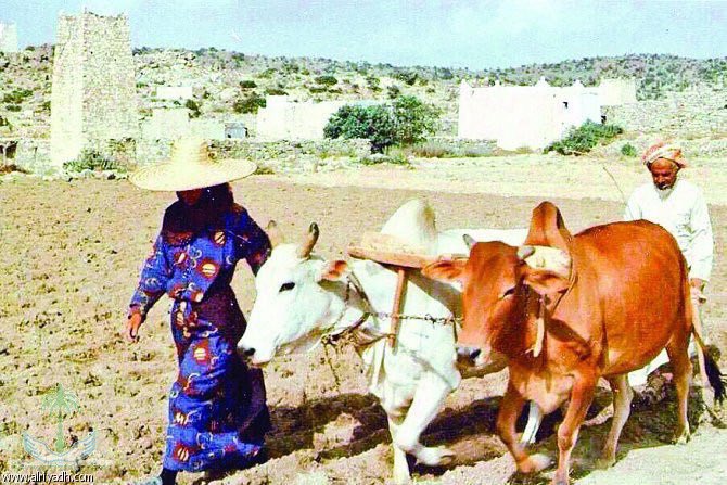 fouadurbanist's tweet image. كانت تعمل في الحقل واليوم تعمل في المصنع و وصلت الى محطة الفضاء الدولية. والحياة تستمر بك أو بدونك.