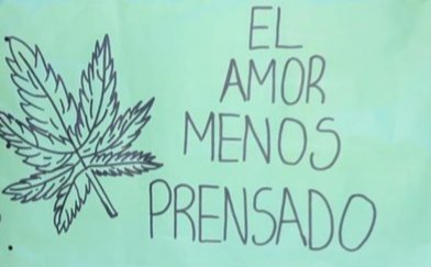 gustavoiommetti's tweet photo. 💚✨ https://t.co/VkVljF9VRa