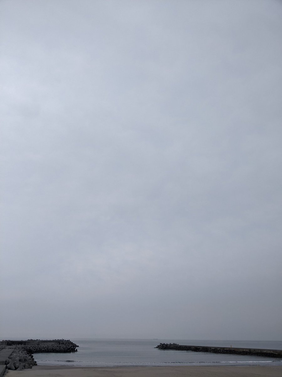 おはようございます!
今日の散歩
#石丸伸二を応援します