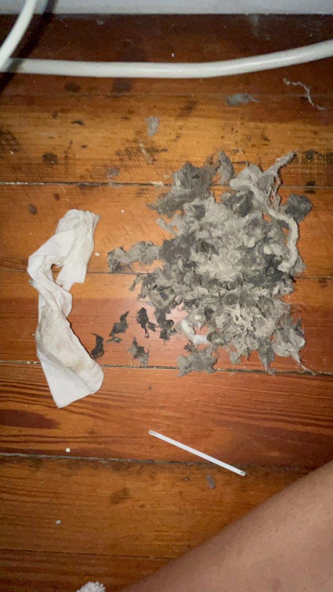 kissclty's tweet image. Deep cleaned my air conditioner #Unemployed  #NeededDat