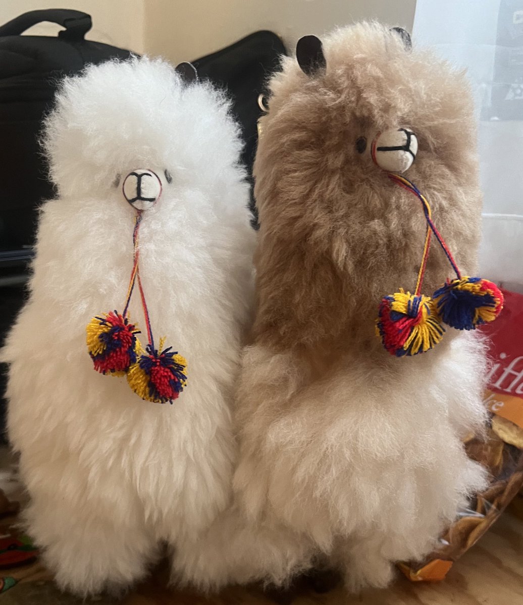 DnsLuna's tweet photo. Ayer regresé de viaje y nos traje a mi novia y a mí en versión llamas: https://t.co/jBnOIGhWxy