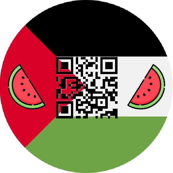 Direct Aid for Gaza 🇵🇸 tweet media