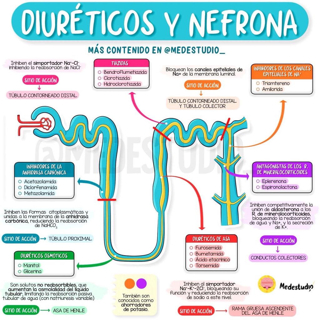Dr. Javier Flores tweet media