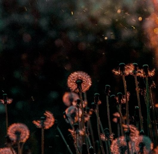 a little later than usual, but chapter 9 comes with some biiiig moments 😉

archiveofourown.org/works/55461295…

#SaveNCISHawaii