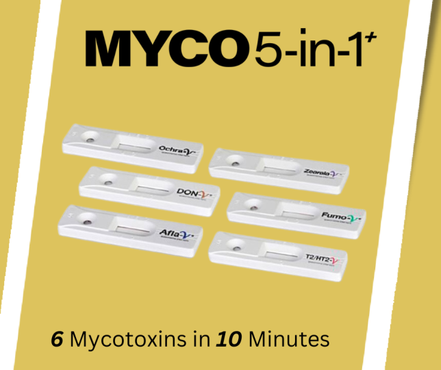 VicamWaters's tweet photo. Save time by measuring up to 6 mycotoxins in 10 minutes with Myco 5-in-1 PLUS. Use the link below to learn more.  https://t.co/6sNkIZlymB https://t.co/8b4rCFHxuP