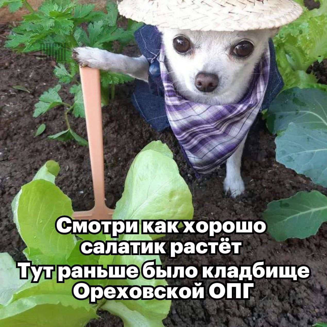 GRHUyr_XQAEcRgO?format=jpg&name=large