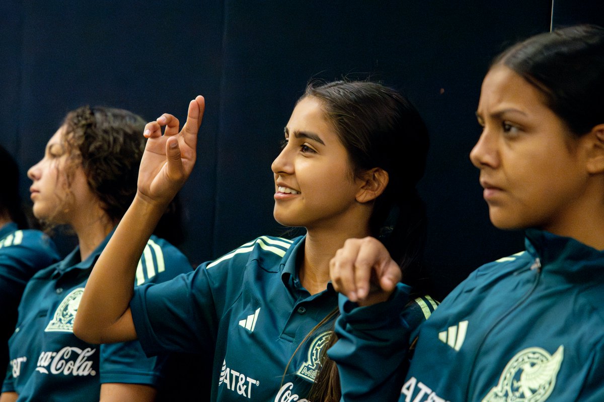 Federación Mexicana de Futbol tweet media