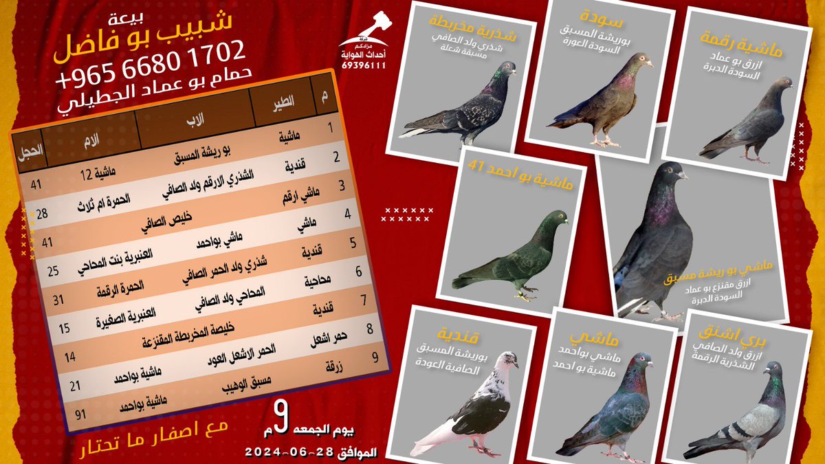 lootkw's tweet photo. 🔥 بيعة شبيب بو فاضل🔥
🕊 حمام بو عماد الجطيلي 🕊
الساعة 9 مساءً
.
ونازل على راس البيعة:
الماشي بو ريشة المسبق
الماشية الرقمة
السودة
الشذرية المخربطة
ماشية بواحمد
البري الاشنق
الماشي
القندية

.
.
وزين كثير، بانتظاركم 👍🏼
طب وتخير من الزين 👌
.
يوم الجمعه الموافق 28-06-2024 https://t.co/Y0G33bzeve