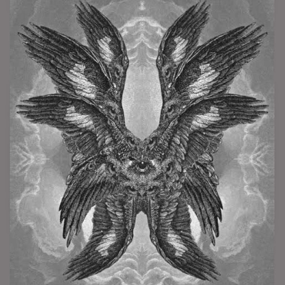 DuncanAdley's tweet image. 