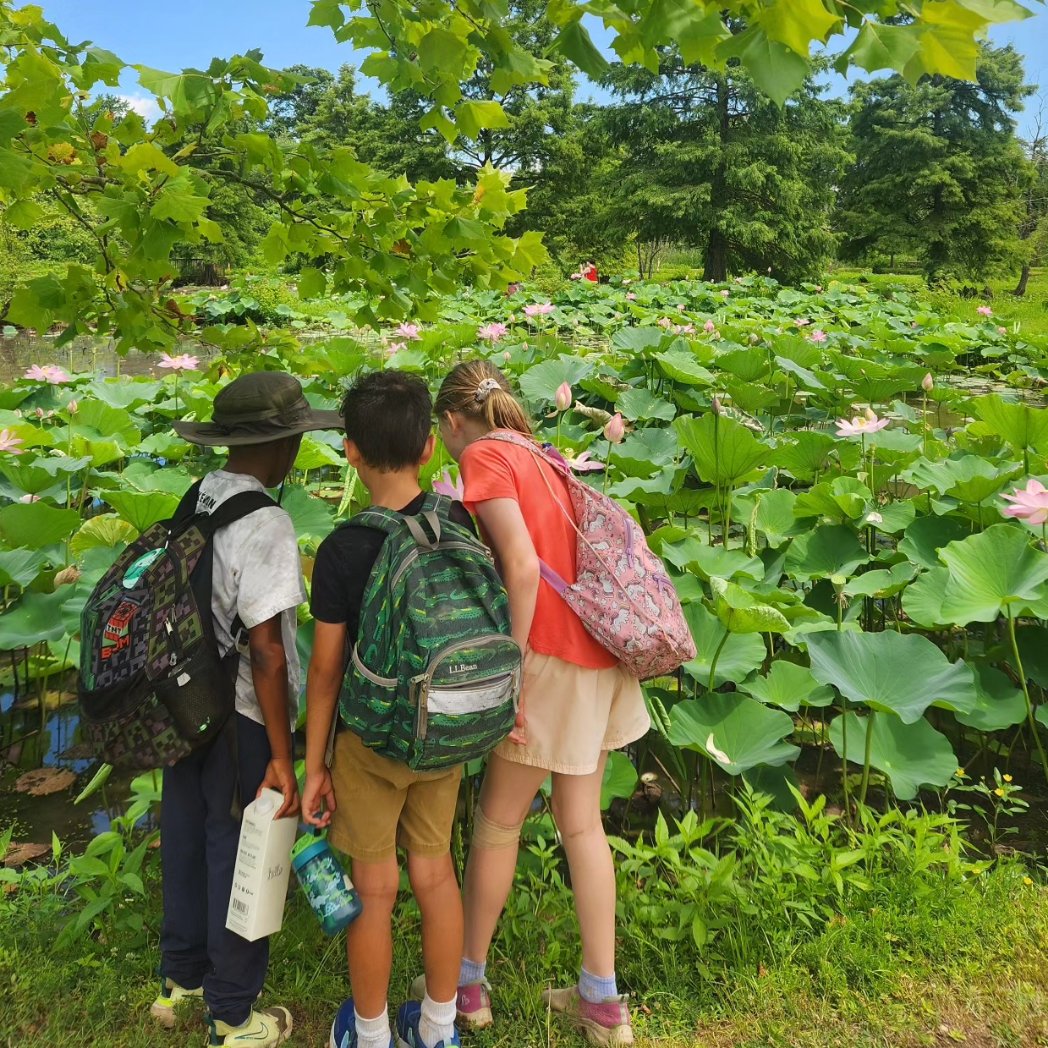 UrbanAdvSquad's tweet image. Views from the park. 🪷🐢🌾🦋🐸

#JuniorRangerAdventureSquad
#ThisIsOutdoorLearning
#CityAsAClassroom

@KenAqGardens
